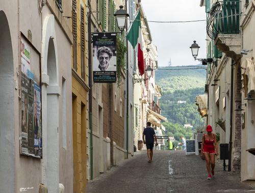 The joy of observing-Sirolo-Agosto 2020