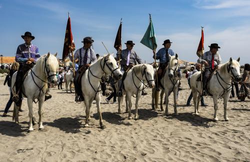 CAMARGIAN HORSES and Gardians -Les Saintes Maries de la mer Maggio 2019