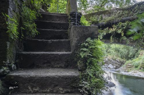 Candalla-Alpi Apuane meridionali-Luglio-2020