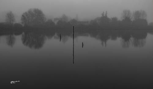 Reflections in the lake-Lago Legnaia Ponsacco-Dicembre 2019
