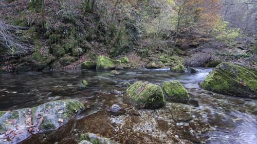 Mountain stream-Isola Santa Lu-Novembre-2020