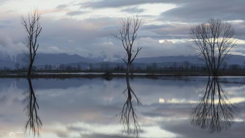 Reflections at Sunset-La Gherardesca Lu-Dicembre-2020
