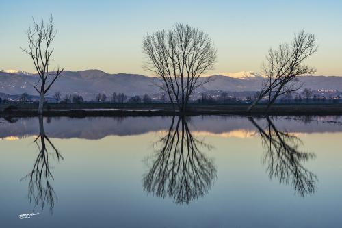 Reflections at Sunset-La Gherardesca Lu-Dicembre-2020