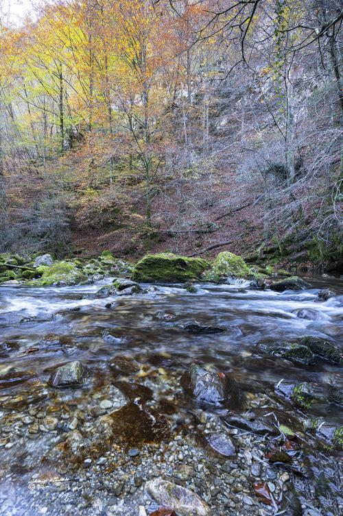 In the middle of the stream-Isola Santa Lu-Novembre-2020