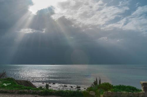 Blades in the sunset-Livorno-Aprile 2018