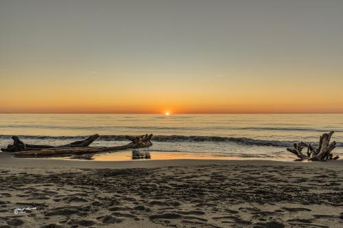 Calar of the sun-M.di Vecchiano-Febbraio 2019