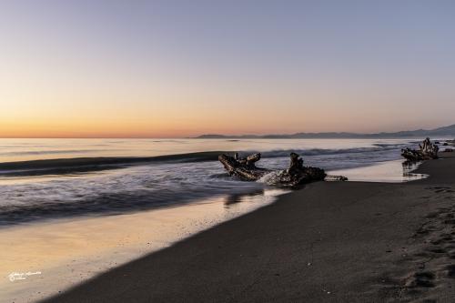 The vortex on the trunk-M.di Vecchiano-Febbraio 2019