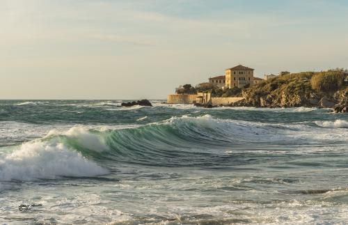 The wave of the sea-Antignano-Marzo 2019