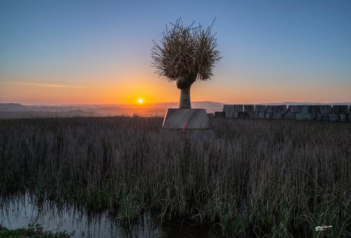 Clio Dorada; artist Manolo Valdes monumental work at sunrise-Lajatico-Maggio-2021