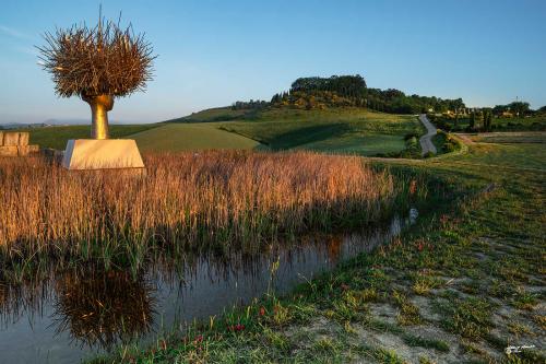 Clio Dorada; artist Manolo Valdes monumental work and its reflections-Lajatico-Maggio-2021