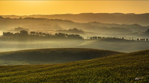 Small golden blades of lightVillamagna Giugno -02-06-2022-