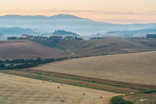 Perfumes in the hills at dawnAlba-Villamagna-Luglio 02-07-2022-