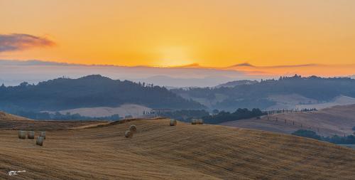 Rotballe on the hill at sunriseAlba-Villamagna-Luglio 02-07-2022