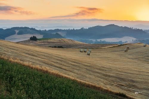 Rotballe on the hill at sunriseAlba-Villamagna-Luglio 02-07-2022