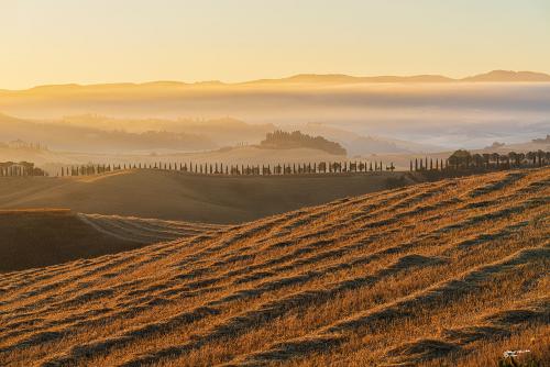The harvest ..Alba-Villamagna-Luglio 02-07-2022-014-