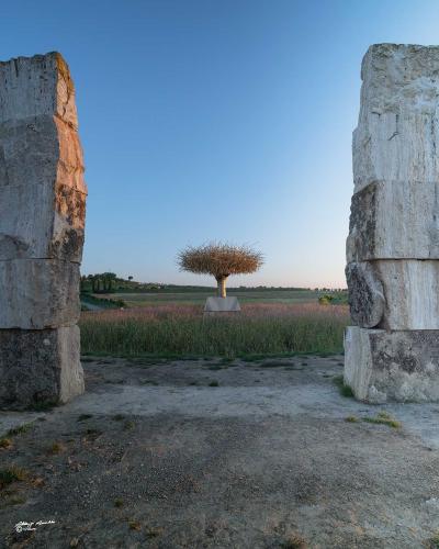 Clio Dorada; artist Manolo Valdes monumental work-Lajatico-Maggio-2021