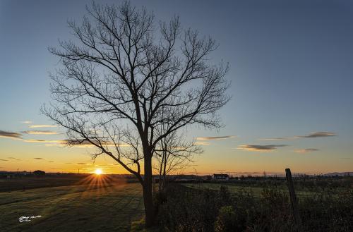 Tomorrow will be another day-Dicembre 2020
