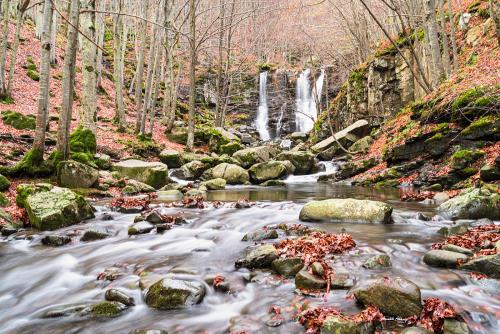 Silkiness and autumn colorsTorrente Dardagna-Novembre 2022