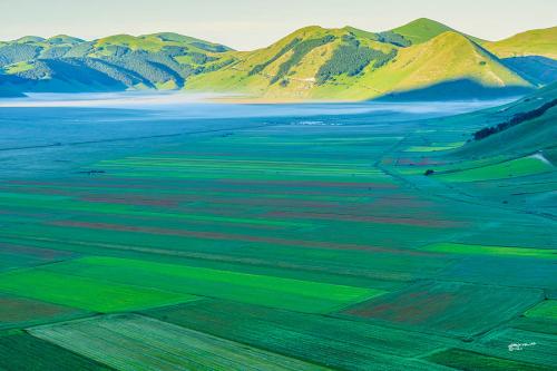 The light haze of themorning :  Castelluccio-Giugno 2021