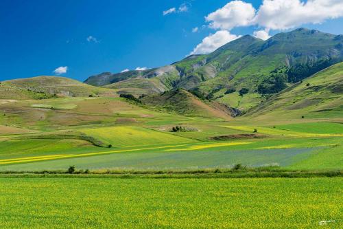 Stretched out under the Sibillini mountains-Castelluccio-Giugno 2021