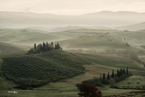Read Mists at Dawn. Belvedere cottage. Val d'Orcia December 2022