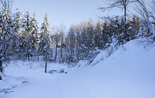 Snow cabin-Careggine-2021