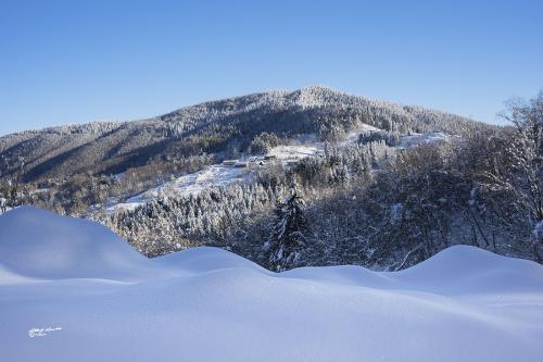 Mountain huts-Careggine-Gennaio-2021