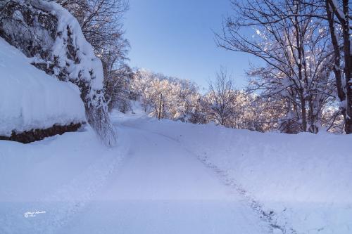 Winter Path-Careggine Gennaio-2021