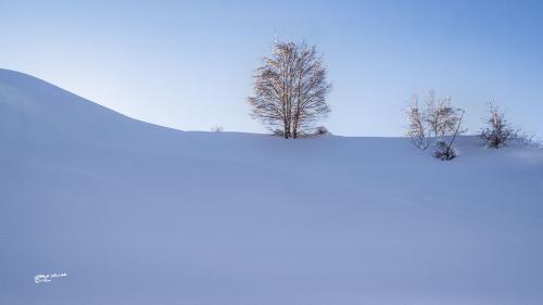 Lonely in the snow-Careggine Gennaio 2021