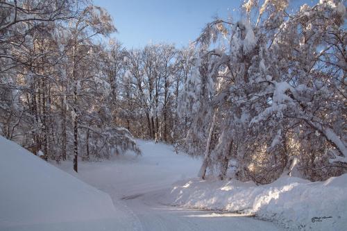 The soft white of the snow-Careggine-Gennaio-2021