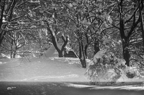 Inside the snow-Careggine Gennaio-2021