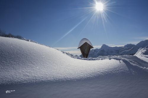 Shrine in the snow-Careggine-Gennaio 2021