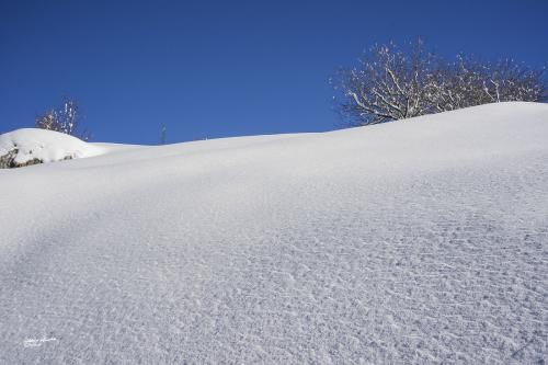 Ice crystals-Careggine Gennaio-2021