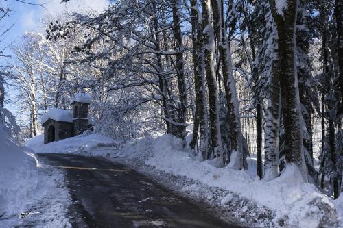 Walking in the snow-Careggine-Gennaio-2021