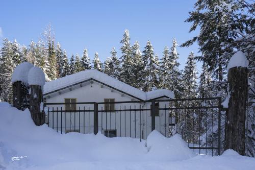 Submerged by snow-Careggine-Gennaio 2021