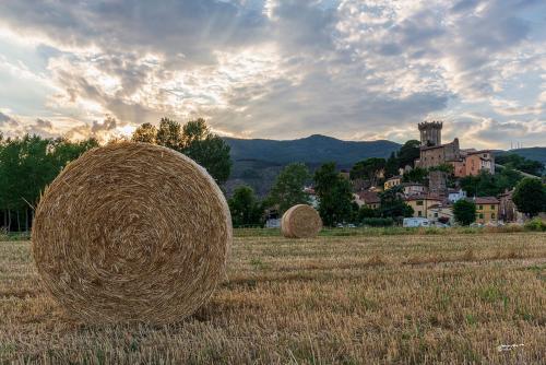 Rotballe at sunsetVicopisano-Luglio-2022-004-