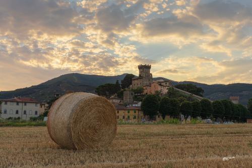 Rotballe at sunsetVicopisano-Luglio-2022-004-