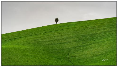 Solitary ..Val-d'OrciaAprile 2022