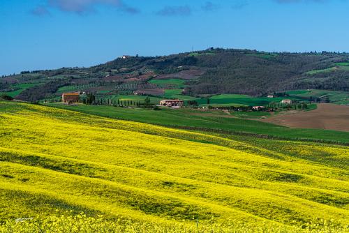 Yellow green..Aprile 2022