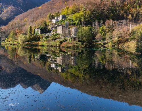 Autumn reflections- Isola Santa Lucca: Novembre-2020