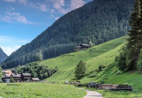 Mountain cabin: Val di Rabbi:Agosto-2018