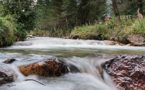 The small stream: Val di Rabbi:Agosto-2018