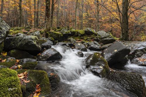 The stream and its autumn colors-Lizzano In Belvedere BO-Ottobre 2019