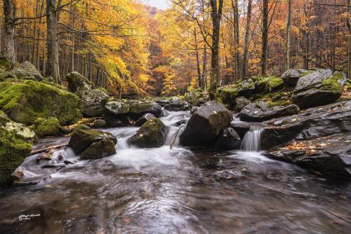 The creek with the autumn colors-Lizzano In Belvedere BO-Ottobre 2019