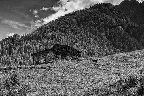 Mountain cabin: Val di Rabbi:Agosto-2018