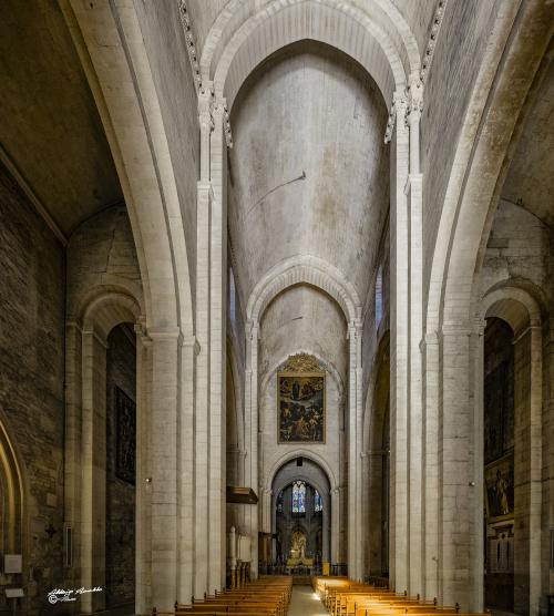 La chiesa della St Trophime navata centrale.-Arles-Maggio 2019