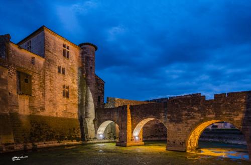 Aigues Mortes-Maggio 2019