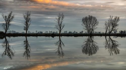 Reflections in the marsh-Oasi Gherardesca-Dicembre-2019