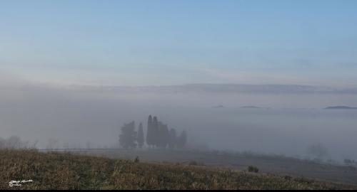 Sunrise in the fog-San Termo-Settembre 2018