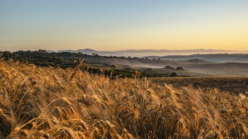The golden hours of dawn-Chianni-Luglio 2019